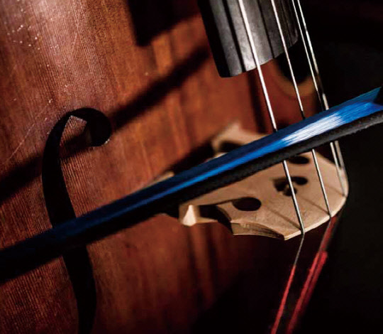 코루스사에서 제작한 비건을 위한 활